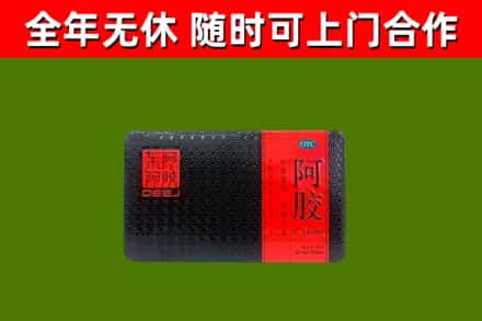 郏县回收阿胶