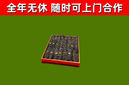 郏县回收海参